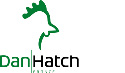 site logo